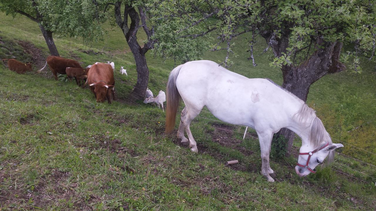 Vaznik Farm House Apartments Bled Luaran gambar